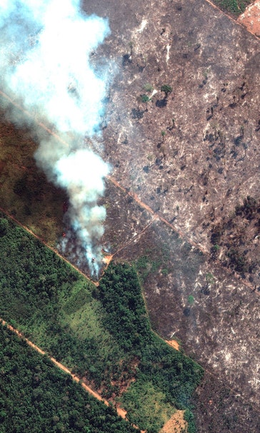 France threatens economic retaliation over Amazon fires